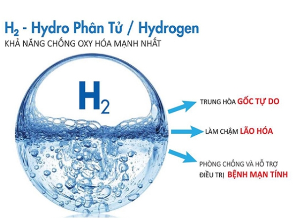Chứa hàm lượng Hydrogen cao